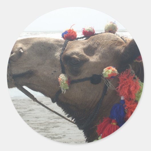 オマーンマスカットラクメルフォトアートプリント ラウンドシール (正面)