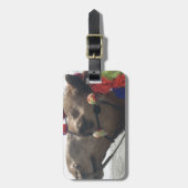 オマーンマスカットラクメルフォトアートプリント ラゲッジタグ (正面縦)