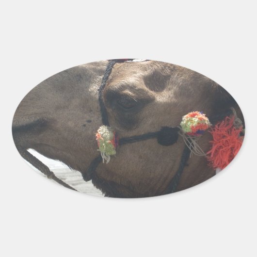 オマーンマスカットラクメルフォトアートプリント 楕円形シール (正面)