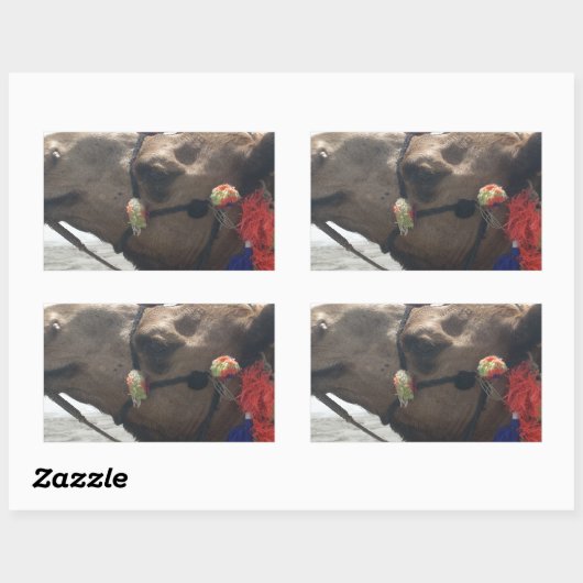 オマーンマスカットラクメルフォトアートプリント 長方形シール (シート)