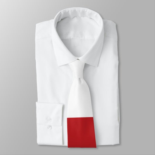 オマーン国旗 ネクタイ (タイ)