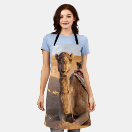 オマーン砂漠のラクダに迫る エプロン