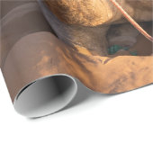 オマーン砂漠のラクダに迫る ラッピングペーパー (ロールコーナー)