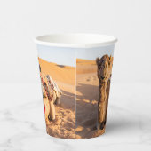 オマーン砂漠のラクダに迫る 紙コップ (右)