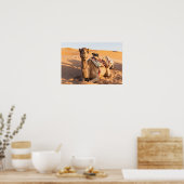 オマーン砂漠のラクダ ポスター (キッチン)