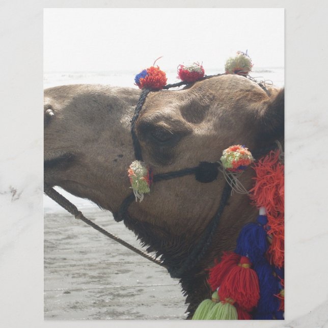 オマーン！マスカット (正面)