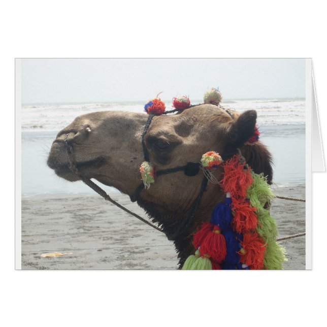 オマーン！マスカット (正面横)