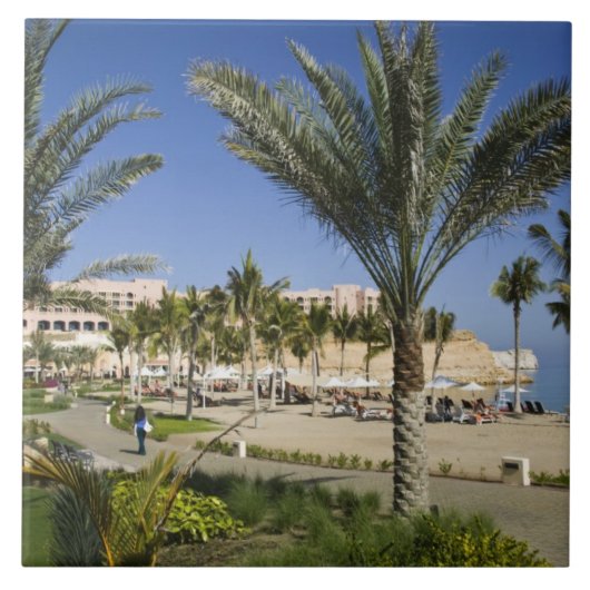 オマーン、マスカット、アル、ジッサー。ラ·バール·アル·シャングリ タイル (正面)