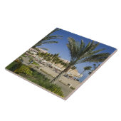 オマーン、マスカット、アル、ジッサー。ラ·バール·アル·シャングリ タイル (側面)