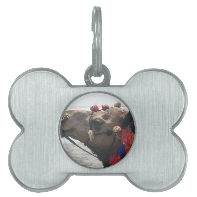 オマーン！マスカット ペットネームタグ (正面)