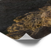 オマーン、マスカット、ルウィ/アル・ハムリヤ。ルーウィの表示/ ポスター (角)