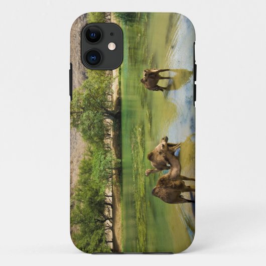 オマーン、ワディ・ダルバット Case-Mate iPhoneケース (裏面)