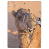 オマーン ワヒバ砂漠のユーモアあふれるラクダの顔アップ クリップボード (裏面)