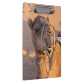 オマーン ワヒバ砂漠のユーモアあふれるラクダの顔アップ クリップボード (右)