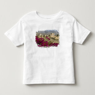 オマーン、西ハジャル山脈、アル・ハムラ。町 トドラーTシャツ