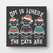 オムは猫たちがフェスティバル フォトプラーク (正面)