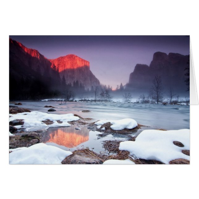 オメガの赤 (正面横)