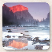 オメガの赤 コースター (正面)