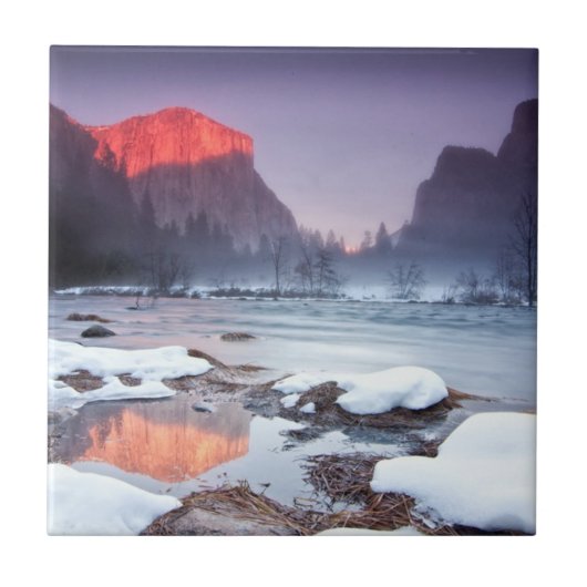 オメガの赤 タイル (正面)