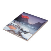 オメガの赤 タイル (側面)