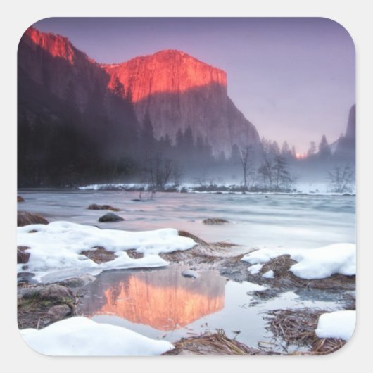 オメガレッド スクエアシール (正面)