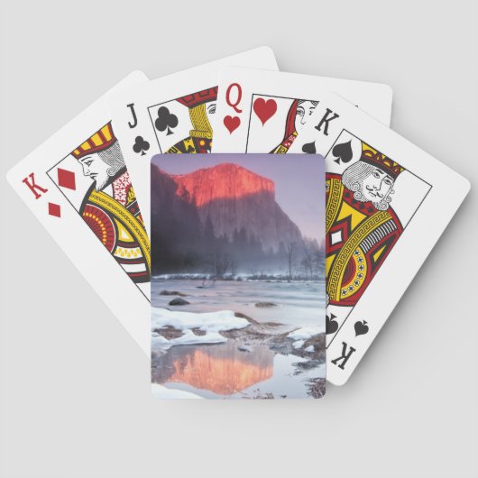 オメガレッド トランプ (裏面)