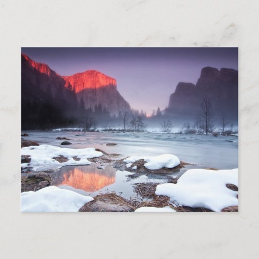 オメガレッド ポストカード (正面)