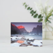 オメガレッド ポストカード (スタンド正面)