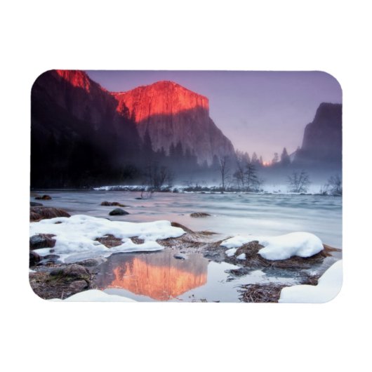 オメガレッド マグネット (横)