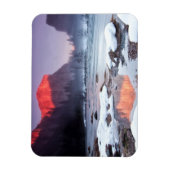 オメガレッド マグネット (縦)