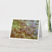 オメレットカースペインのド・トルティーヤ カード (正面)