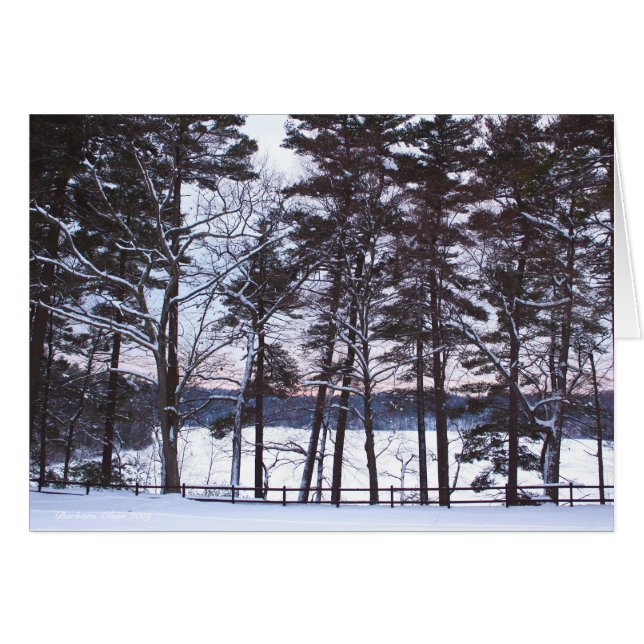 オラトリオス、オペラ、自然。 (正面横)