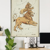 オラニア鏡 – レオ専攻のとレオ・マイナー ポスター (ホームオフィス)