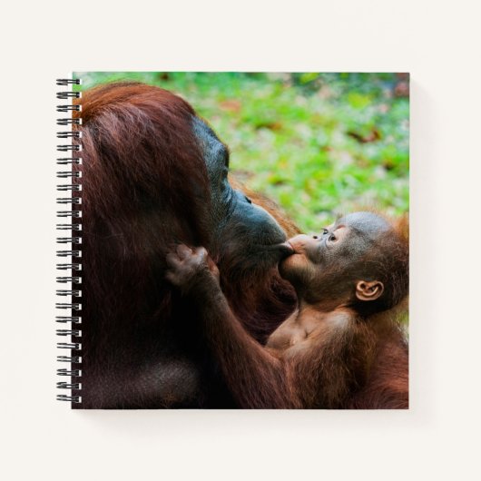 オランウタンの母親と赤ちゃん ノートブック (正面)