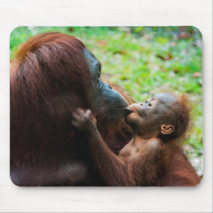 オランウタンの母親と赤ちゃん マウスパッド