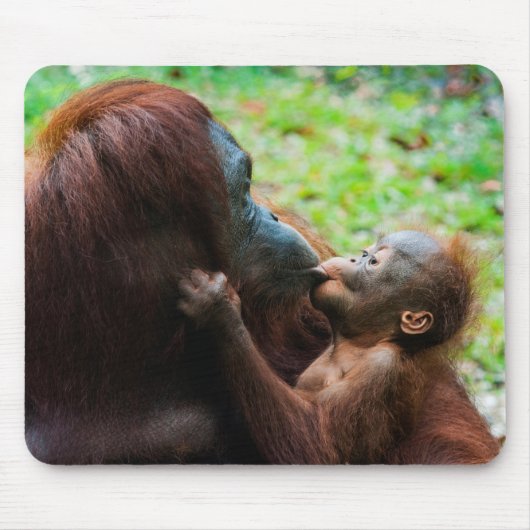 オランウタンの母親と赤ちゃん マウスパッド (正面)