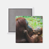 オランウタンの母親と赤ちゃん マグネット (正面/裏面)