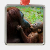 オランウタンの母親と赤ちゃん メタルオーナメント (正面)