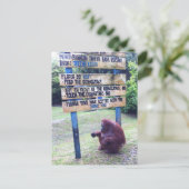 オランウタンアットキャンプリーキーボルネオ島 ポストカード (スタンド正面)