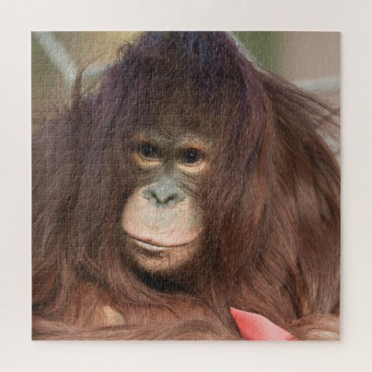 オランウタンカヤン ジグソーパズル (縦)