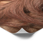 オランウタンカヤン ポスター (角)