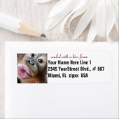 オランウタンキュートキス ラベル (インサイチュ)