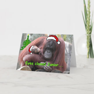 オランウタンクリスマス シーズンカード