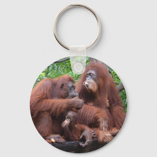 オランウタンシンガポール動物園で朝食 キーホルダー (正面)