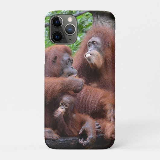 オランウタンシンガポール動物園で朝食 Case-Mate iPhoneケース (裏)