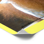 オランウタンベビーランチ ポスター (角)