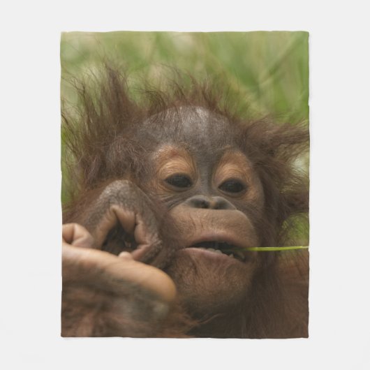 オランウタンベビー フリースブランケット (正面)