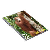 オランウタンボルネオレインフォレスト ノートブック (右側)