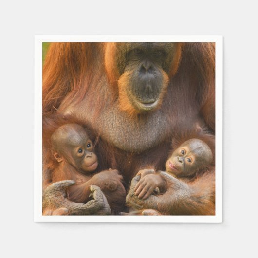 オランウタンマザーホールディング2ベビー スタンダードカクテルナプキン (正面)