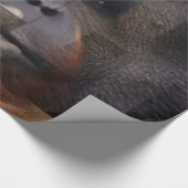 オランウタンラッピング紙 ラッピングペーパー (角)